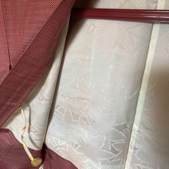 雨ゴートの画像