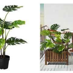 【0円】FEJKA フェイカ【無料】IKEA フェイク観葉植物の画像