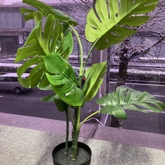 【0円】FEJKA フェイカ【無料】IKEA フェイク観葉植物