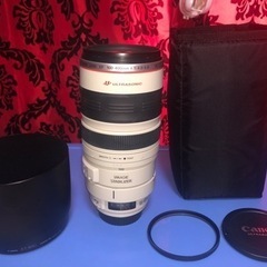 CANON キヤノン EF 100-400mm F4.5-5.6 L IS USM