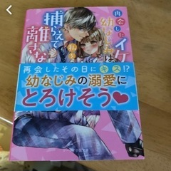 再会したイケメン幼なじみは、私を捕らえて離さない。