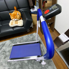 ハピネス　ルームランナー　トレーニング　フィットネスの画像