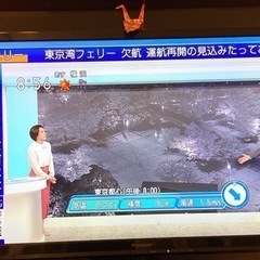 Panasonic 液晶テレビ