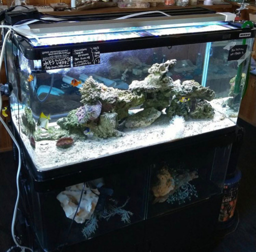 urocoが作った海水魚アクアリウムフルセット