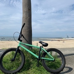 Fiend Embryo Type O 2019 BMX
