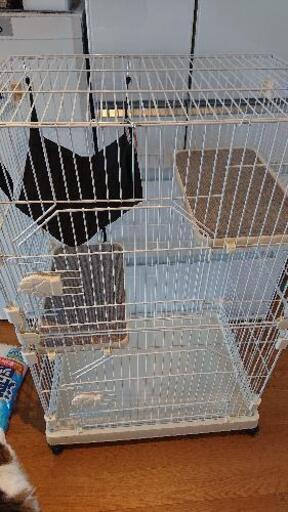 一ヶ月使用 猫 ケージ幅69奥行き48高さ106