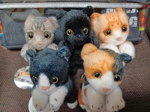 たっちぃzooにゃんこ mini5種セット