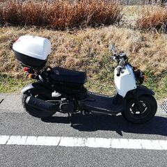 ホンダ　ズーマー　ZOOMER