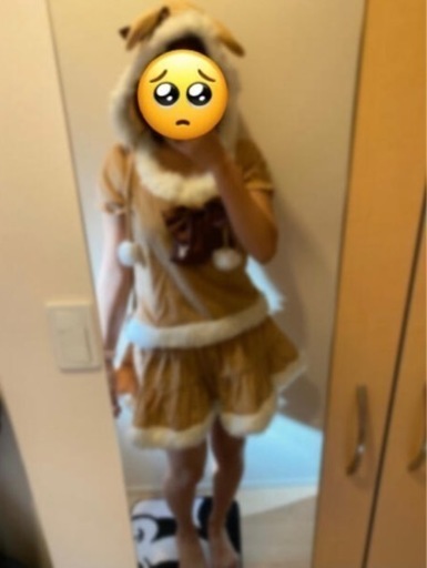 ミニスカトナカイコス