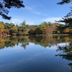神戸近郊低山　ウォーキング程度　 - メンバー募集