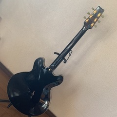 バンテージ　V635VG セミアコの画像