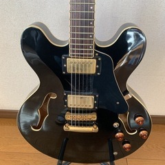 バンテージ　V635VG セミアコの画像