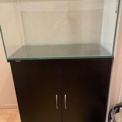 (取引中)熱帯魚　アクアリウム　GEX水槽　水槽台　６０cm