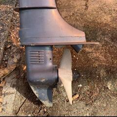 シーズン到来!!煽烏賊やタイラバに(ㆁᴗㆁ✿)の画像