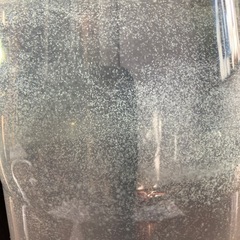 メダカの針子の餌の画像