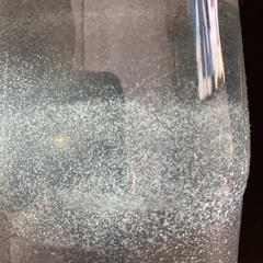 ゾウリムシの画像