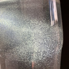 ゾウリムシの画像