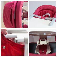 イングリッシーナ ファストの画像