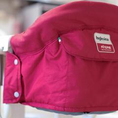 イングリッシーナ ファストの画像