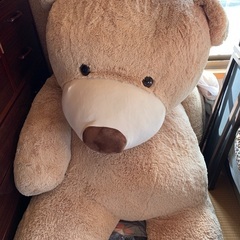 コストコ クマ ぬいぐるみの画像