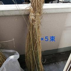 稲藁（お話し中）