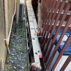 ハシゴ、三段の画像