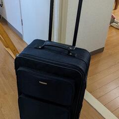 Rudolph Valentino キャリーケース　スーツケースの画像