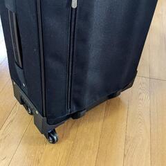 Rudolph Valentino キャリーケース　スーツケースの画像