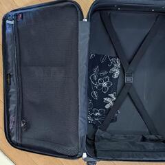 Rudolph Valentino キャリーケース　スーツケースの画像