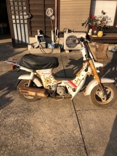 シャリー　レストア用