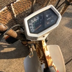 シャリー　レストア用の画像