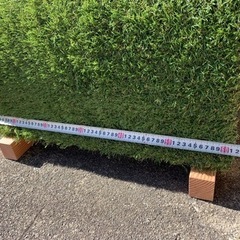 ペットトンネルの画像