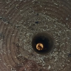 ウッドキャンドル スウェーデントーチ 防災 暖をとる手段として 焚き火🔥の画像