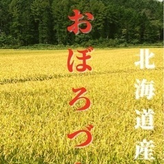 おぼろづき　玄米　5kg  お米　新米