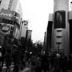 大人(30代以上)の写真サークルです♪ - その他