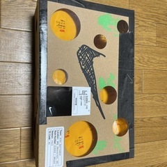 Off-Whiteダンクローlot19の画像