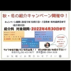 今、人気のフィッシング！釣りのエサを作る仕事やりませんか？の画像