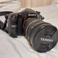 SONY α99