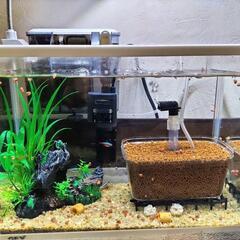 ☆値下げ☆水槽一式セット
