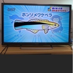 シャープ　AQUOS 50インチ　薄型テレビ　LC50W20 2014年