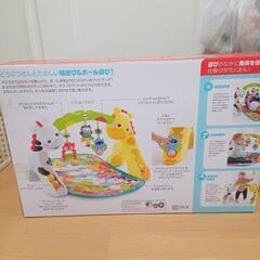 フィッシャープライス　ニューボーントドラージムの画像