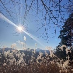 低山ハイキング、山歩き