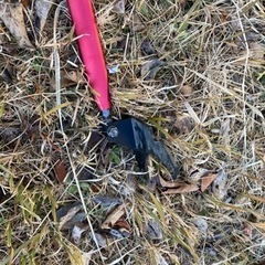 シエンタ　タワーバーの画像