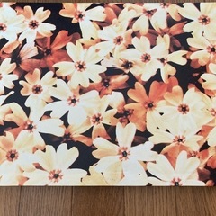 フランフラン　アートパネル2点の画像