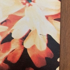 フランフラン　アートパネル2点の画像