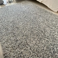 IKEAカーペット170×230cm