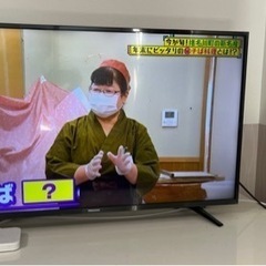 4Kテレビ＋テレビ台