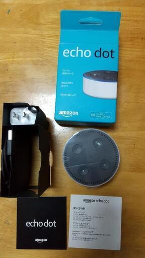 その他 Echo Dot