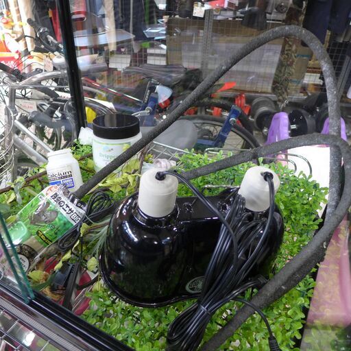 グラステラリウム 6060 爬虫類 飼育箱 ケージ ガラスケージ【モノ市場東海店】#130