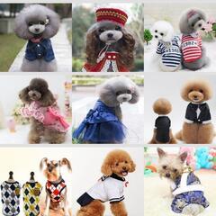 ❣️犬の服 新品 🍀格安 SSから犬種とサイズを言って頂ければ可能な限りお持ちします。の画像